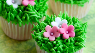 Cupcakes green frosting flowers garden - evaline ness free wallpaper