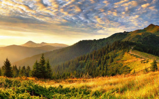 Mountain road forest sunset landscape - a forest in the foreground free wallpaper for desktop