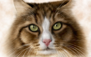 Cat closeup greeneyes whitefurry digitalpainting - digital painting free wallpaper