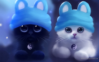 Cats hats blue background stars - two cat free wallpaper for desktop