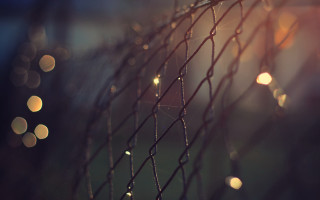Rain drops fence macro bokeh - mesh wire free wallpaper