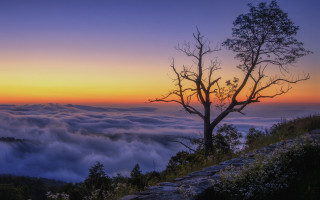 Hill sunset clouds trees river - a few tree free wallpaper