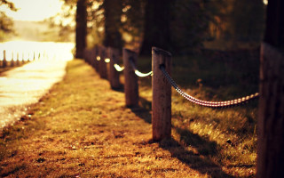 Wooden posts rope grassy path - wooden post free wallpaper