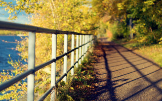Autumn road fence water tilt - ada hill walker free wallpaper