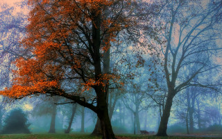 Mystical autumn park bench fog - mystical free wallpaper for desktop