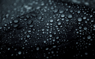 Black water droplets macro photography - daniel lieske free wallpaper