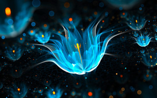 Blue flower glowing petals space - petal free wallpaper