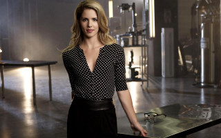 Woman table glasses blonde eyewear - everett warner free wallpaper