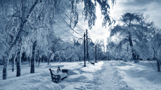 Snowy park bench ice trees - snow and ice free wallpaper