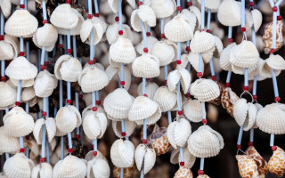 Shells beads ribbon ecological art - a wall next free wallpaper