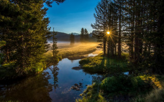 River fog sunset trees lake - light ray free wallpaper