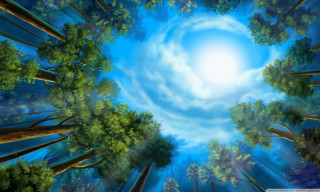 Blue sky trees woods sun - chiho aoshima free wallpaper