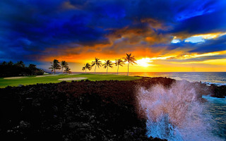 Sunset golf course palm trees - a golf course free wallpaper