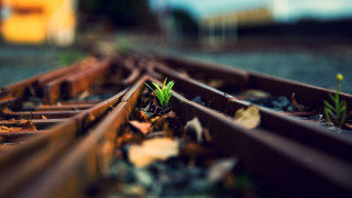 Train tracks plant bokeh aurora - train free wallpaper