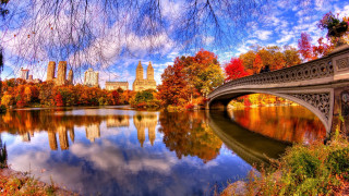 Bridge river city trees autumn - a bridge over a river free wallpaper