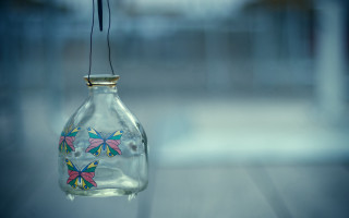 Glass bottle butterfly hanging window - a wire free wallpaper