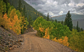 Dirt road trees rocks cloudy - a cloudy day free wallpaper