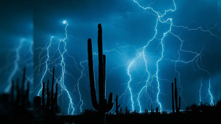 Cactus tree lightning dark sky - free neon wallpaper for desktop