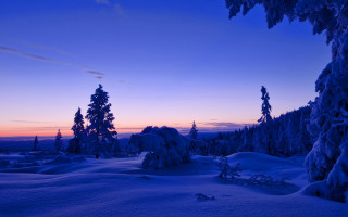 Snowy landscape trees sunset blue 2 - tree and a sunset in the background free wallpaper