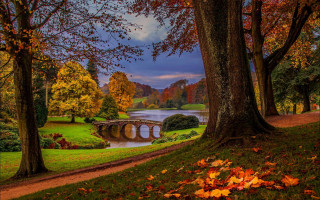 Autumn bridge river trees leaves - beautiful landscape free wallpaper