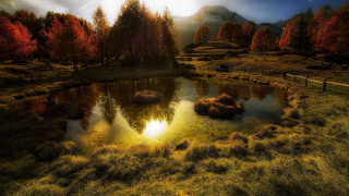 Pond grass trees sun mountains - grass and trees free wallpaper