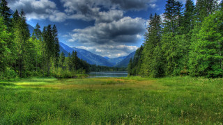 Grassy lake mountains clouds nature - bob ross free wallpaper