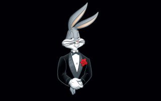 Rabbit tuxedo rose formal unreal - his lap free wallpaper