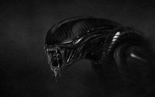 Alien head armor sword greyscale - large tooth free wallpaper