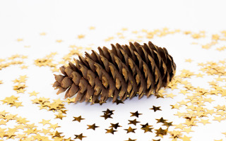 Pinecone goldstars autumn christmas star - a pine cone free wallpaper