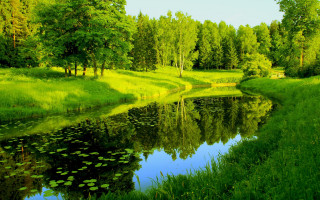 River forest green field impressionist - ground next free wallpaper