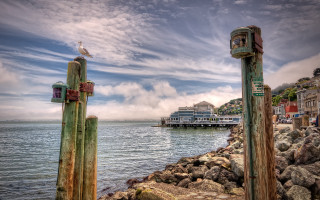 Bird pole water pier buildings - hdr free wallpaper
