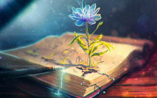 Book flower table fantasy night - macro art free wallpaper