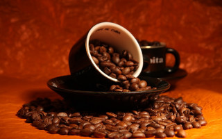 Coffee saucer beans autumn fire - coffee bean free wallpaper