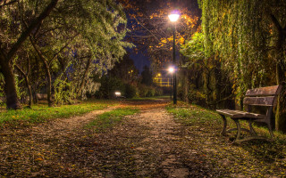 Park bench leafy path night - free autumn wallpaper