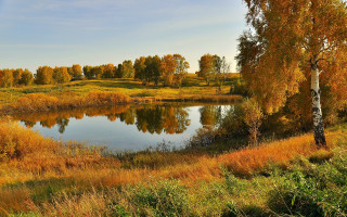 Lake fall trees yellow foliage - the fall time free wallpaper