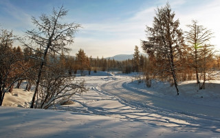 Snowy road trees clouds winter - tree and a sky background free wallpaper