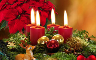 Christmas candles deer poinsettia folkart - the table free wallpaper for desktop