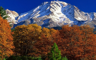 Snowy mountain orange trees night - ada hill walker free wallpaper