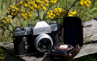 Camera case flowers field stilllife - yellow flower free wallpaper