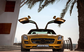 Yellow sports car palm tree - its door free wallpaper