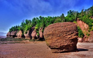 Large rock formation beach forest - a large rock formation free wallpaper