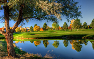 Golf pond trees autumn landscape - a pond and trees free wallpaper