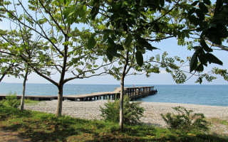 Pier beach ocean trees scenery - sandy free wallpaper