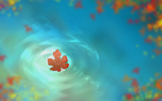 Autumn leaf floating blurry ocean - a red leaf free wallpaper