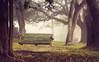 Wooden bench forest swing magical - the middle of the forest free wallpaper