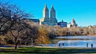 Couple walking park lake building - a large building in the background free wallpaper
