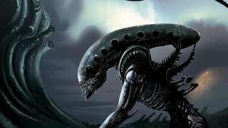 Alien giant head body cloudy - a large head free wallpaper