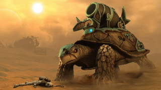 Turtle helmet water ship fantasy - a turtle free wallpaper