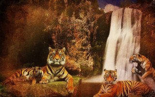 Tiger waterfall pop surrealism matte - a waterfall in the background free wallpaper