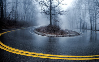 Winding road foggy forest moonlight - the corner free wallpaper
